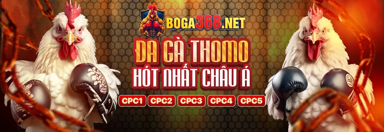Hình ảnh tổng quan các trò chơi đa dạng tại Bay365